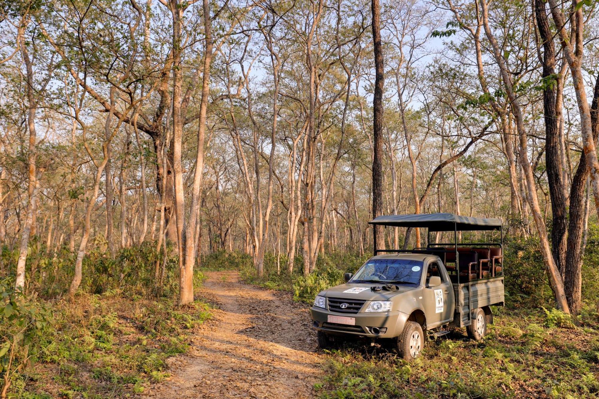 Tigerland Safari - A Lemon Tree Resort, Chitwan, Nepal Patlahara Extérieur photo