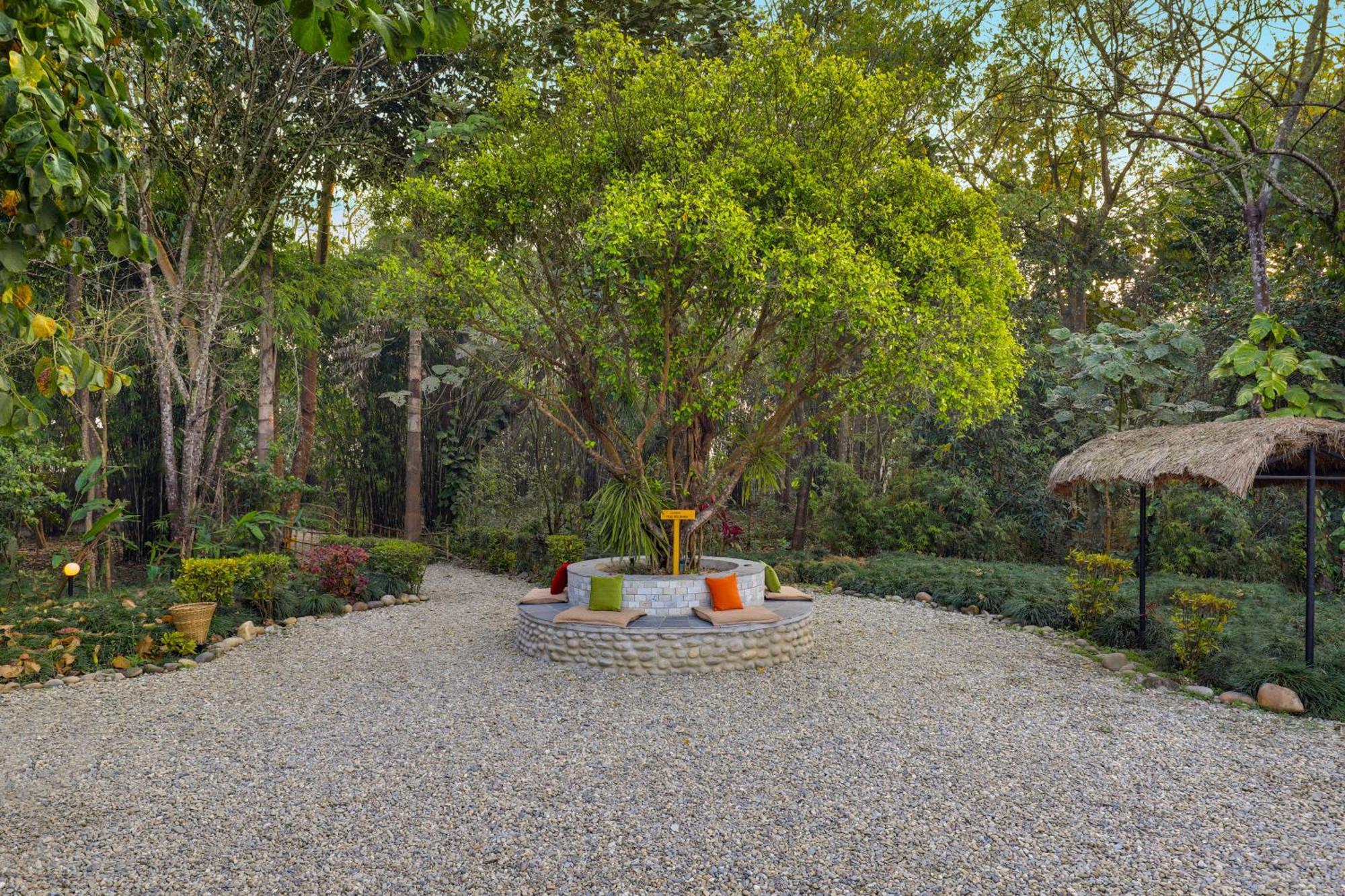 Tigerland Safari - A Lemon Tree Resort, Chitwan, Nepal Patlahara Extérieur photo