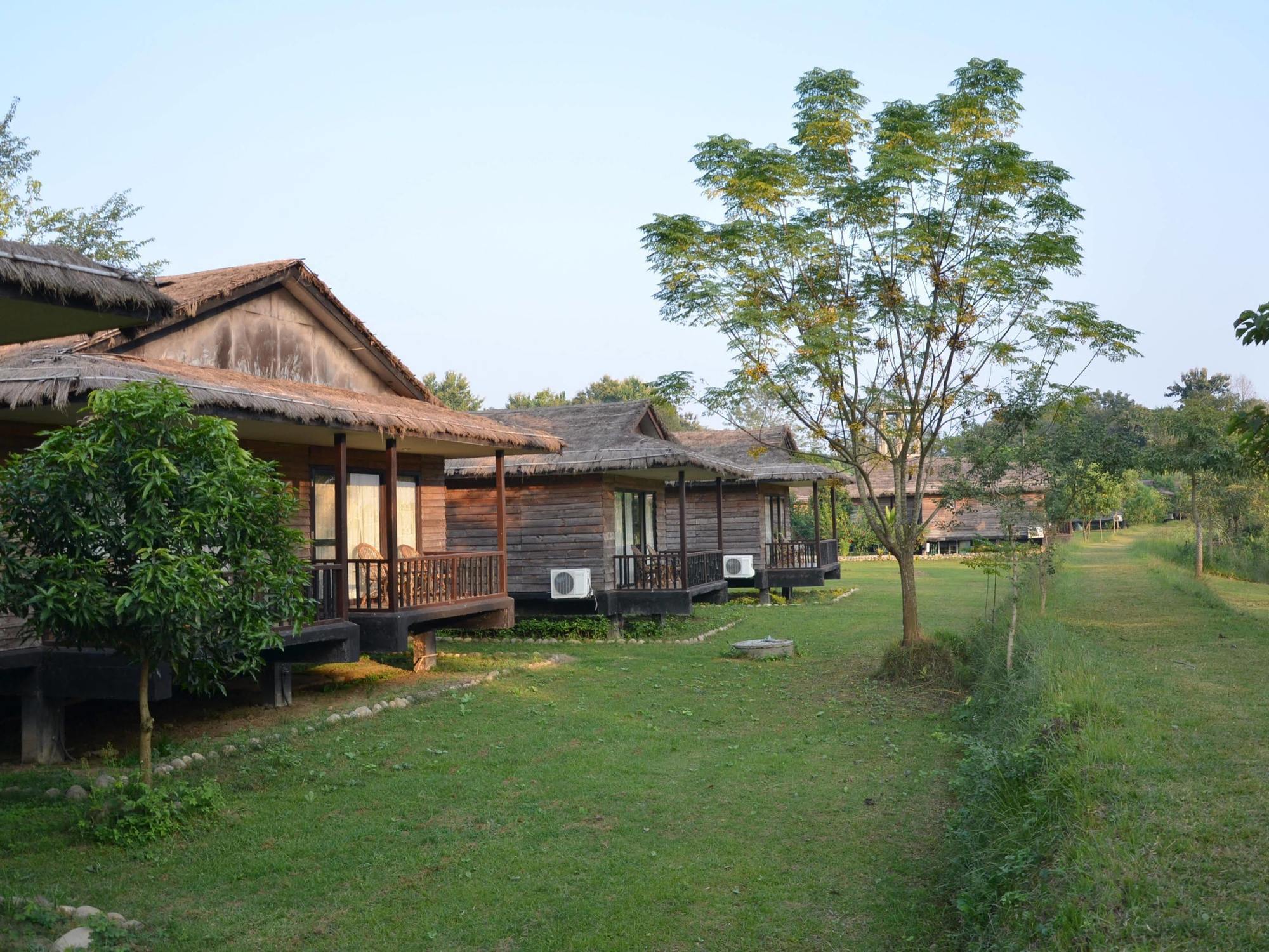 Tigerland Safari - A Lemon Tree Resort, Chitwan, Nepal Patlahara Extérieur photo